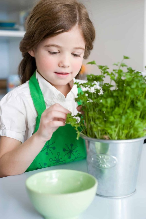 Quels styles de pulls sont recommandés pour une silhouette en triangle inversé?